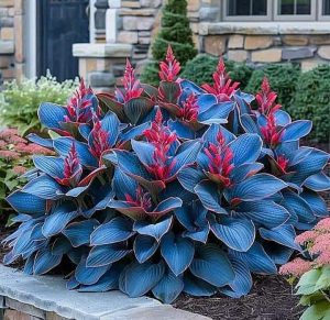 Хоста Грин Фог купить по цене от 669р. в интернет-магазине «Посадика» с доставкой почтой в в Бугульмае и по всей России – [изображение №1].